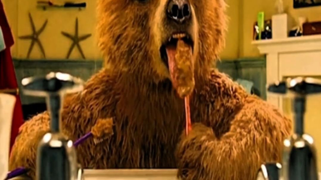 ⁣Part 2Talking Bear in human world #shorts -R7ooB9OBGoQ-