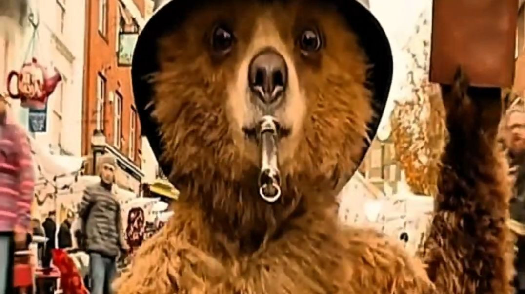 Part 3 Talking Bear in human world #shorts -Kalsw4rtX1Y-