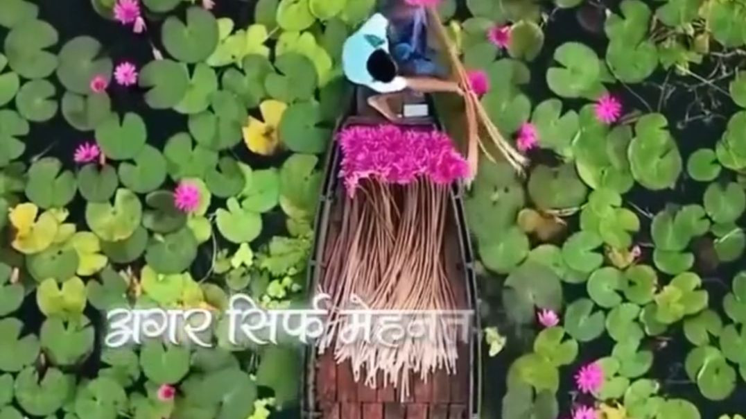 AQMmghdbvzGgq0OtYbPM8yJeJ3R3RY65siudOsLVTDNhmnD8MmvuClshS5fUpUw6Mf_mulcjBfwkgDobigSClhH7Q7-W8MUE5MM8